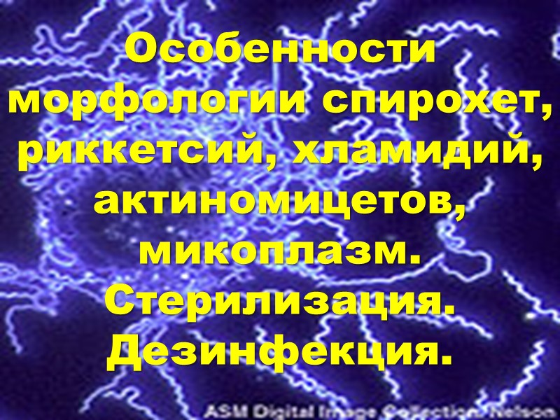 Особенности морфологии спирохет, риккетсий, хламидий, актиномицетов, микоплазм.  Стерилизация. Дезинфекция.